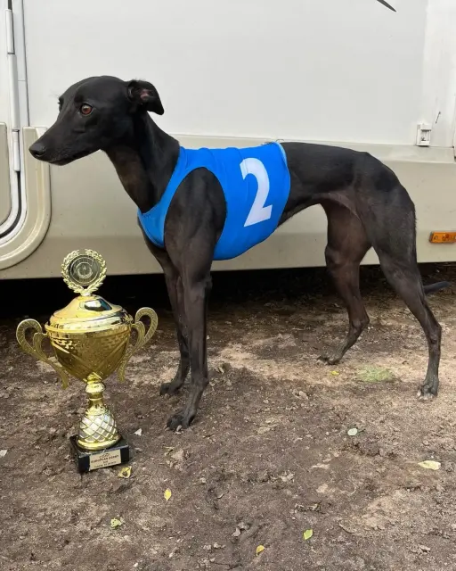 CGRC European derby