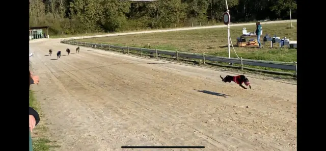Grand Prix SACL