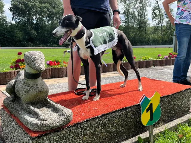 Derby van Rotterdam