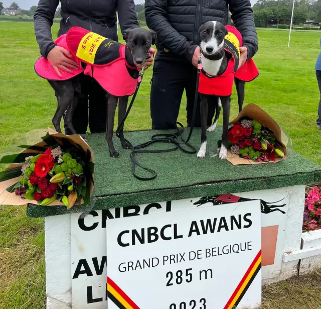 Belgisch Kampioenschap 280m