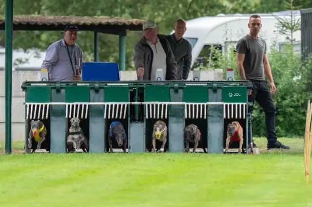 Zilveren Haas Beringen