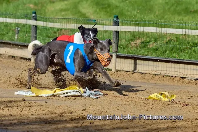 Champ of Sand Münster