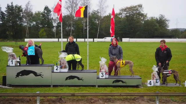 Golden Cup & Bjerringbro Cup 2023