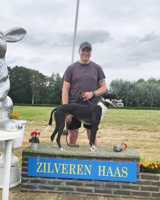 Zilveren Haas Beringen
