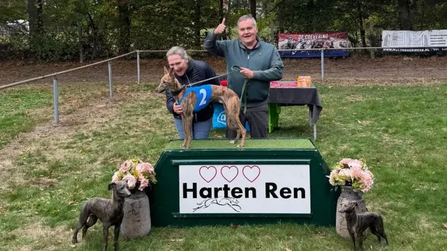 3 Hartenren