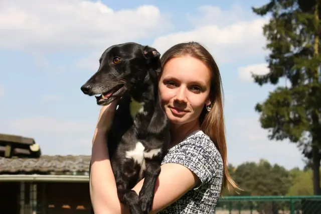 Bayah (Samba Supersonic)