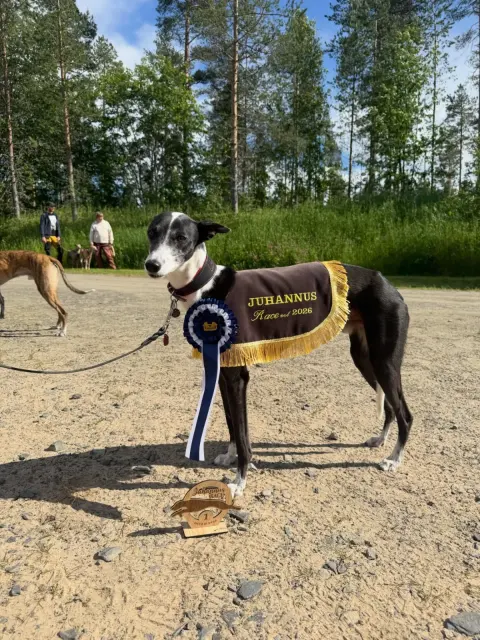 OSVKH Virpiniemi